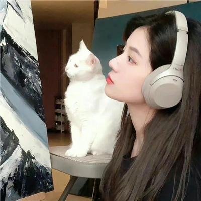 分享视界
